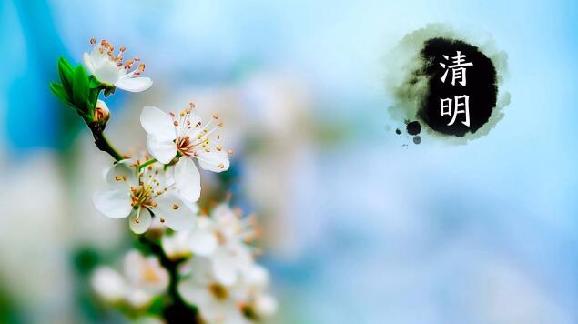 清明節(jié) 清明節(jié)
